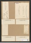 Plagiotropis vitrea (W. Sm.) Grun. (de-Toni-Nr.: Genus 30, Species 1367) Zeichnungen Sammlung Grunow Nr. 2487 (NHMW-BOT-W0369808)